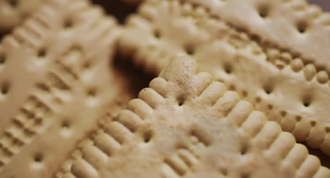 Biscotti secchi di colore chiaro disposti ravvicinati