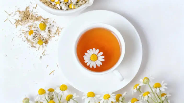 Tazza di tisana alla camomilla con fiore galleggiante vista dall'alto