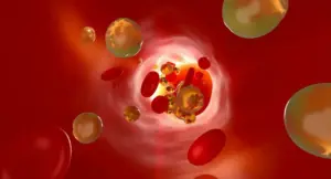 Rappresentazione 3D delle particelle di colesterolo all'interno di un vaso sanguigno