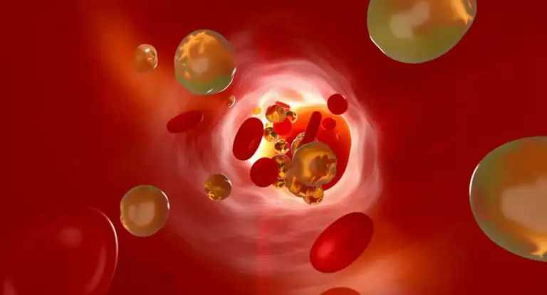 Rappresentazione 3D delle particelle di colesterolo all'interno di un vaso sanguigno