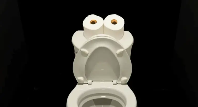 WC con due rotoli di carta igienica sopra, su sfondo nero